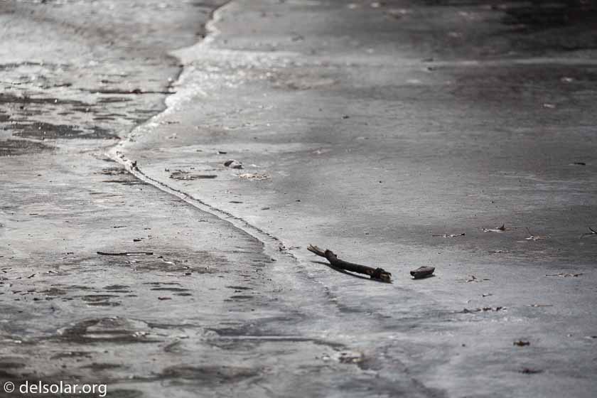 Canon EOS 5D Mark III  --  312 mm  --  EF100-400mm f/4.5-5.6L IS II USM  