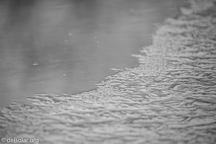 Canon EOS 5D Mark III  --  371 mm  --  EF100-400mm f/4.5-5.6L IS II USM  