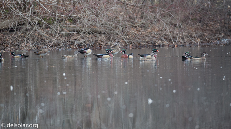 Canon EOS 5D Mark III  --  321 mm  --  EF100-400mm f/4.5-5.6L IS II USM  