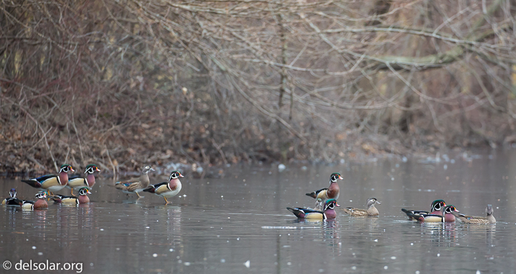 Canon EOS 5D Mark III  --  286 mm  --  EF100-400mm f/4.5-5.6L IS II USM  