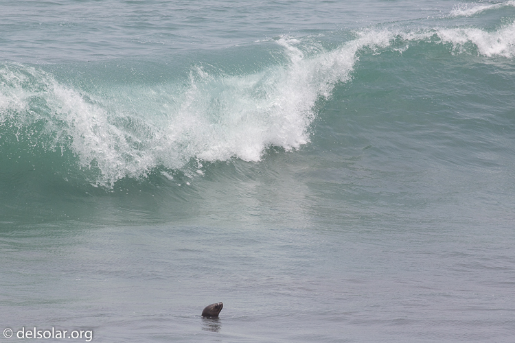 Canon EOS 5D Mark III  --  400 mm  --  EF100-400mm f/4.5-5.6L IS II USM  