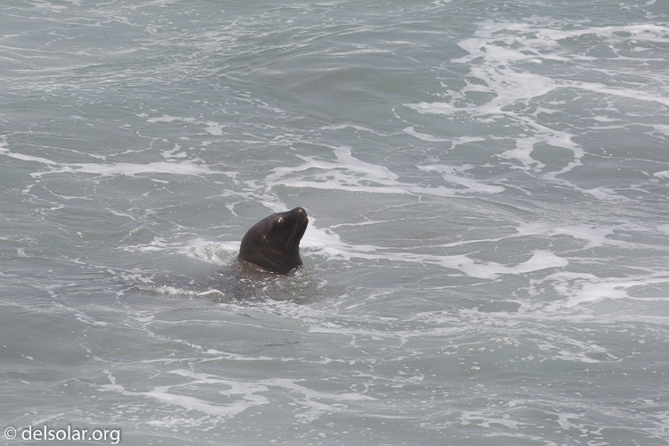 Canon EOS 5D Mark III  --  400 mm  --  EF100-400mm f/4.5-5.6L IS II USM  