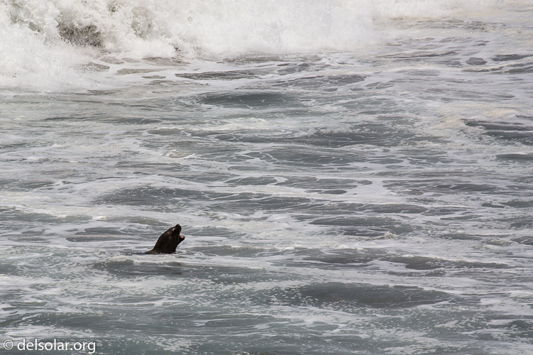 Canon EOS 5D Mark III  --  400 mm  --  EF100-400mm f/4.5-5.6L IS II USM  