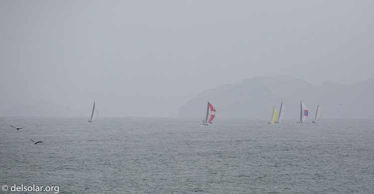 Canon EOS 5D Mark III  --  400 mm  --  EF100-400mm f/4.5-5.6L IS II USM  