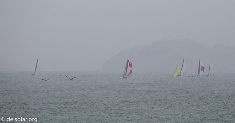 Canon EOS 5D Mark III  --  400 mm  --  EF100-400mm f/4.5-5.6L IS II USM  