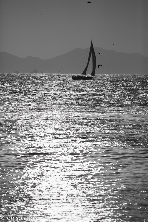 Canon EOS 5D Mark III  --  400 mm  --  EF100-400mm f/4.5-5.6L IS II USM  