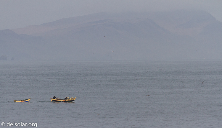 Canon EOS 7D  --  321 mm  --  EF100-400mm f/4.5-5.6L IS II USM  