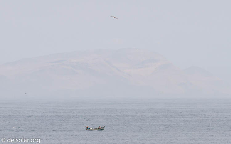 Canon EOS 7D  --  200 mm  --  EF100-400mm f/4.5-5.6L IS II USM  