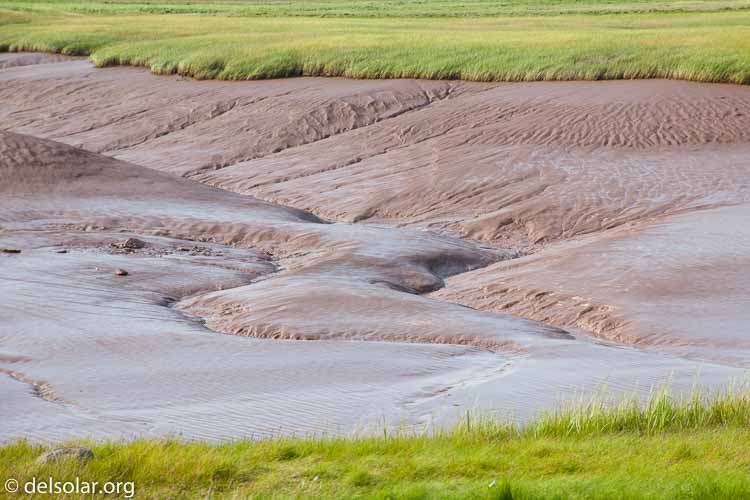 Canon EOS 5D Mark II  --  135 mm  --  24-135mm  