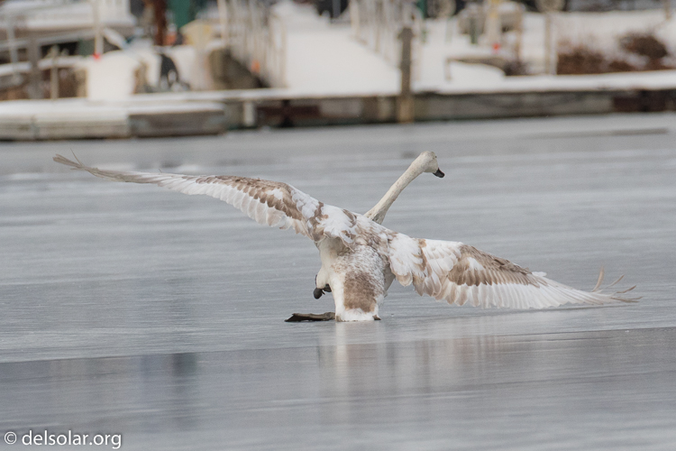 Canon EOS 7D Mark II  --  348 mm  --  EF100-400mm f/4.5-5.6L IS II USM +1.4x III  