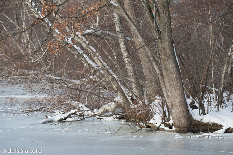 Canon EOS 5D Mark III  --  255 mm  --  EF100-400mm f/4.5-5.6L IS II USM  