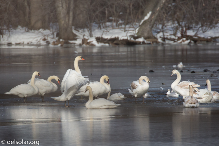 Canon EOS 5D Mark III  --  560 mm  --  EF100-400mm f/4.5-5.6L IS II USM +1.4x III  