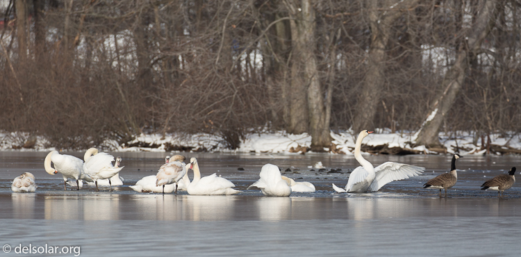Canon EOS 5D Mark III  --  368 mm  --  EF100-400mm f/4.5-5.6L IS II USM +1.4x III  