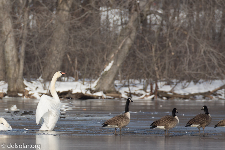 Canon EOS 5D Mark III  --  358 mm  --  EF100-400mm f/4.5-5.6L IS II USM +1.4x III  