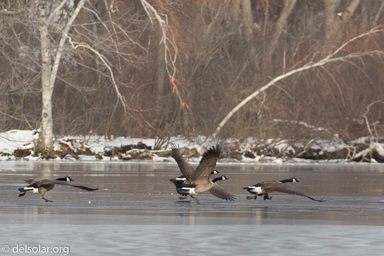Canon EOS 5D Mark III  --  358 mm  --  EF100-400mm f/4.5-5.6L IS II USM +1.4x III  