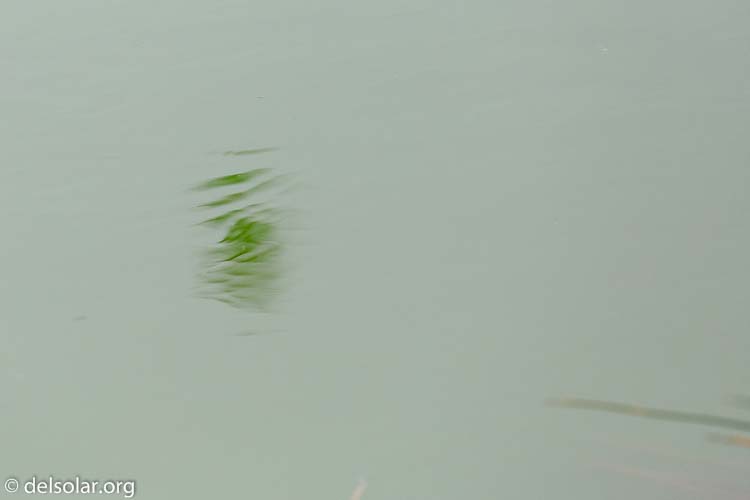 Canon EOS 5D Mark III  --  349 mm  --  EF100-400mm f/4.5-5.6L IS II USM  