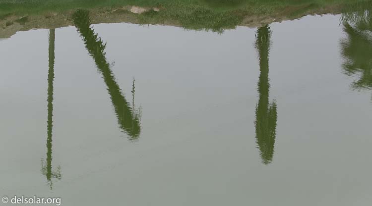 Canon EOS 5D Mark III  --  110 mm  --  EF100-400mm f/4.5-5.6L IS II USM  