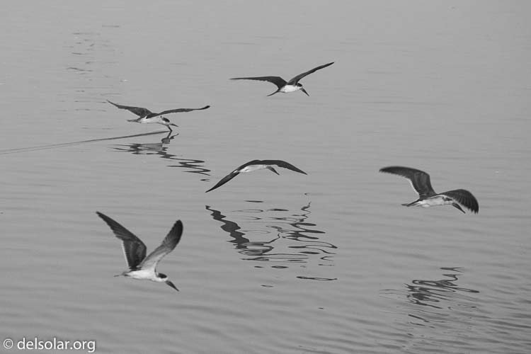 Canon EOS 5D Mark III  --  200 mm  --  EF100-400mm f/4.5-5.6L IS II USM  