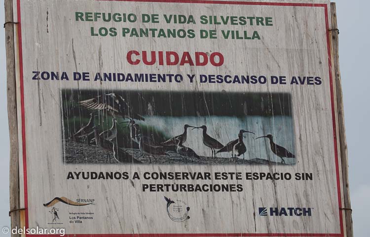 Canon EOS 5D Mark III  --  158 mm  --  EF100-400mm f/4.5-5.6L IS II USM  