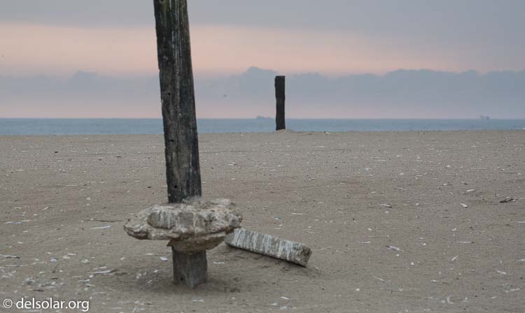 Canon EOS 5D Mark III  --  164 mm  --  EF100-400mm f/4.5-5.6L IS II USM  