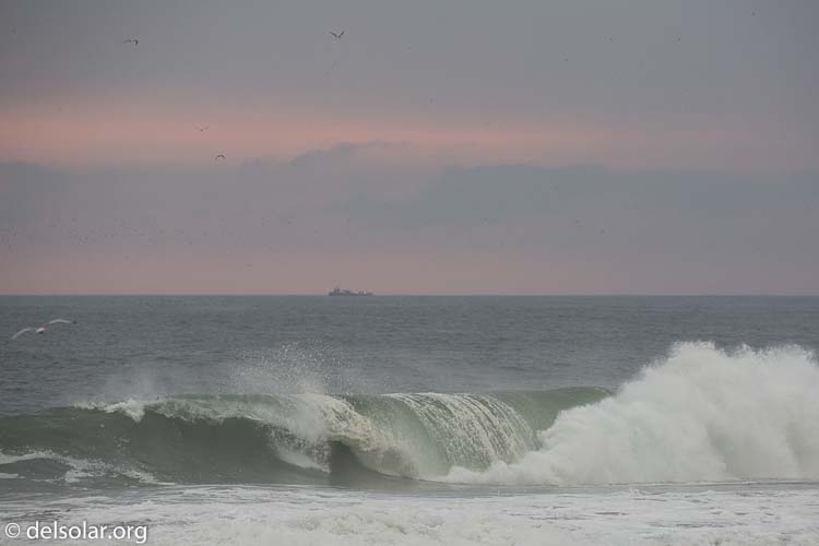 Canon EOS 5D Mark III  --  255 mm  --  EF100-400mm f/4.5-5.6L IS II USM  