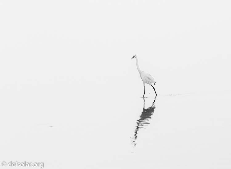 Canon EOS 7D  --  142 mm  --  EF100-400mm f/4.5-5.6L IS II USM  