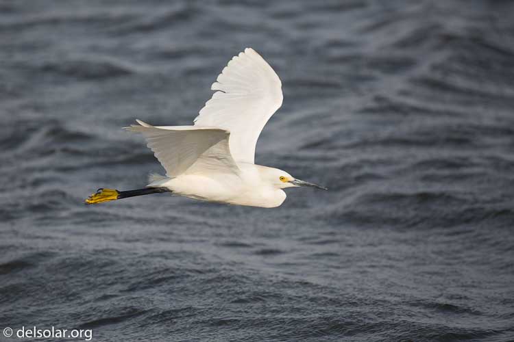 Canon EOS 5D Mark III  --  400 mm  --  EF100-400mm f/4.5-5.6L IS II USM  