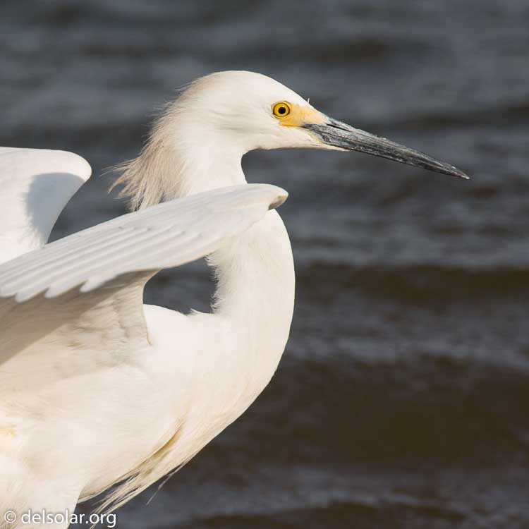 Canon EOS 5D Mark III  --  400 mm  --  EF100-400mm f/4.5-5.6L IS II USM  