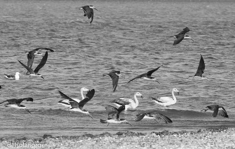 Canon EOS 5D Mark III  --  164 mm  --  EF100-400mm f/4.5-5.6L IS II USM  