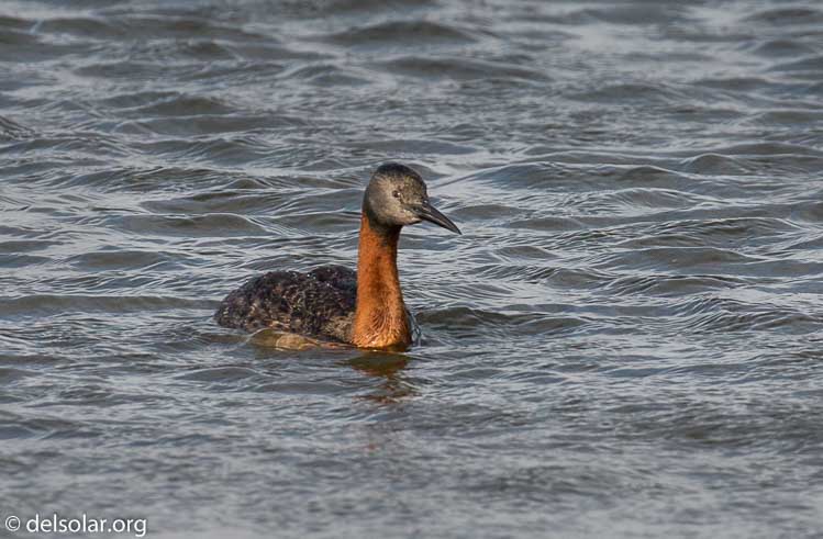 Canon EOS 5D Mark III  --  371 mm  --  EF100-400mm f/4.5-5.6L IS II USM  