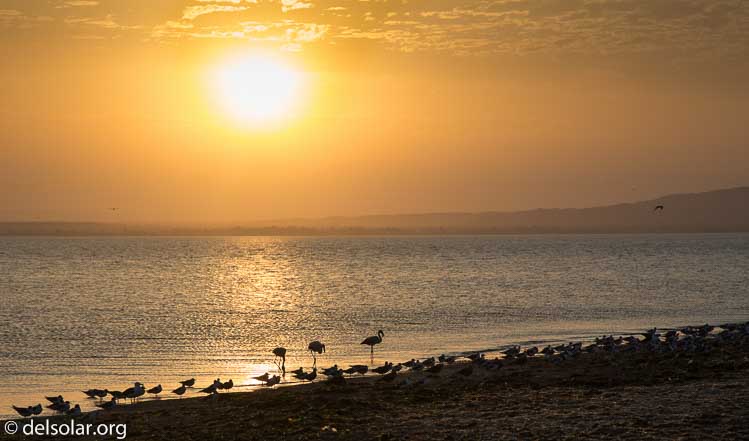 Canon EOS 5D Mark III  --  105 mm  --  EF24-105mm f/4L IS USM  