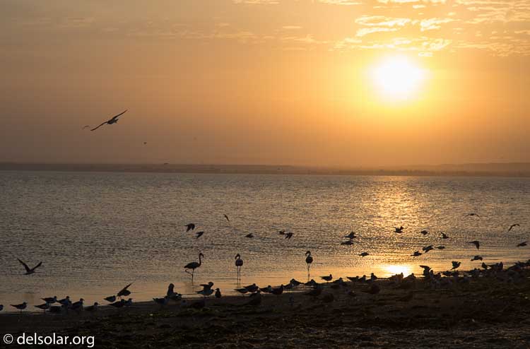 Canon EOS 5D Mark III  --  96 mm  --  EF24-105mm f/4L IS USM  