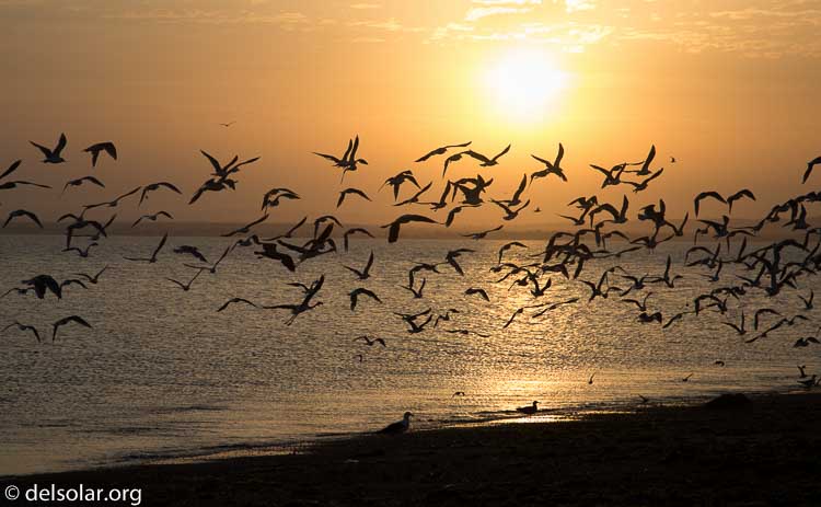 Canon EOS 5D Mark III  --  100 mm  --  EF24-105mm f/4L IS USM  