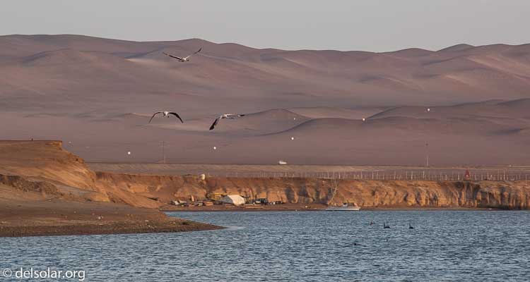 Canon EOS 5D Mark III  --  105 mm  --  EF24-105mm f/4L IS USM  