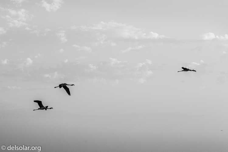 Canon EOS 5D Mark III  --  105 mm  --  EF24-105mm f/4L IS USM  