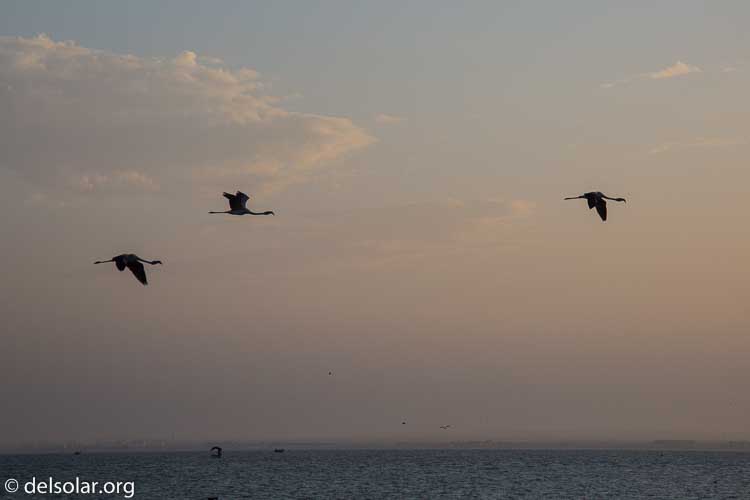 Canon EOS 5D Mark III  --  105 mm  --  EF24-105mm f/4L IS USM  