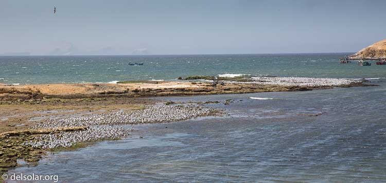 Canon EOS 5D Mark III  --  80 mm  --  EF24-105mm f/4L IS USM  