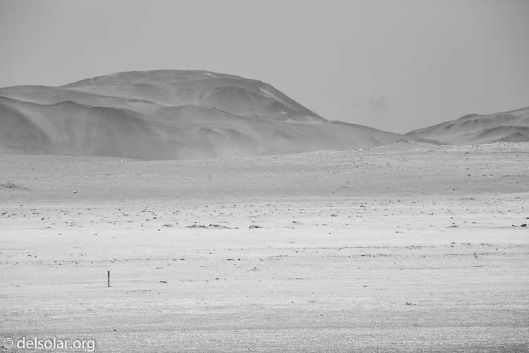 Canon EOS 5D Mark III  --  300 mm  --  EF100-400mm f/4.5-5.6L IS II USM  