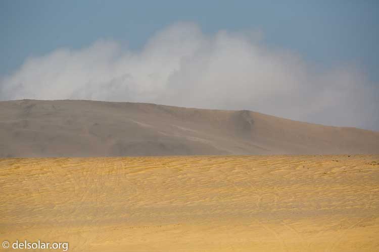 Canon EOS 5D Mark III  --  349 mm  --  EF100-400mm f/4.5-5.6L IS II USM  