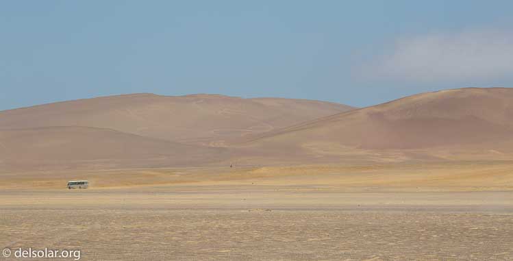 Canon EOS 5D Mark III  --  142 mm  --  EF100-400mm f/4.5-5.6L IS II USM  