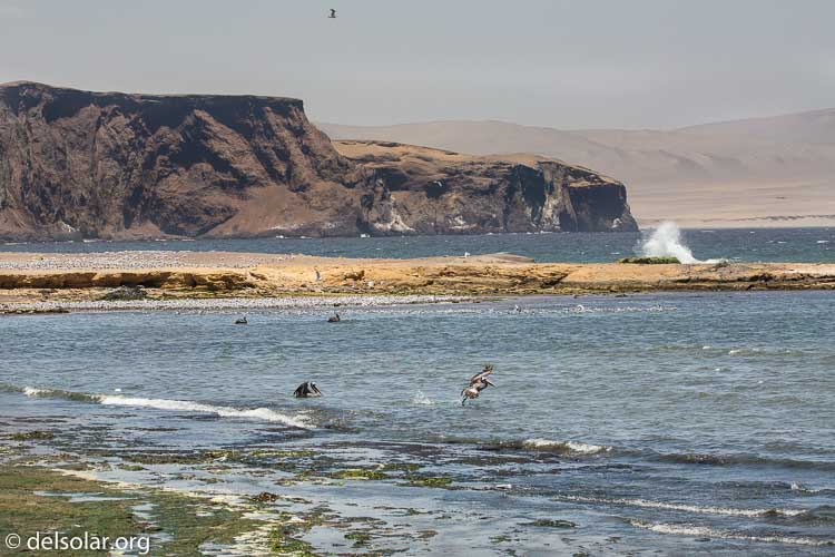 Canon EOS 5D Mark III  --  120 mm  --  EF100-400mm f/4.5-5.6L IS II USM  