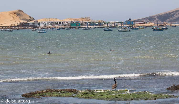 Canon EOS 5D Mark III  --  117 mm  --  EF100-400mm f/4.5-5.6L IS II USM  