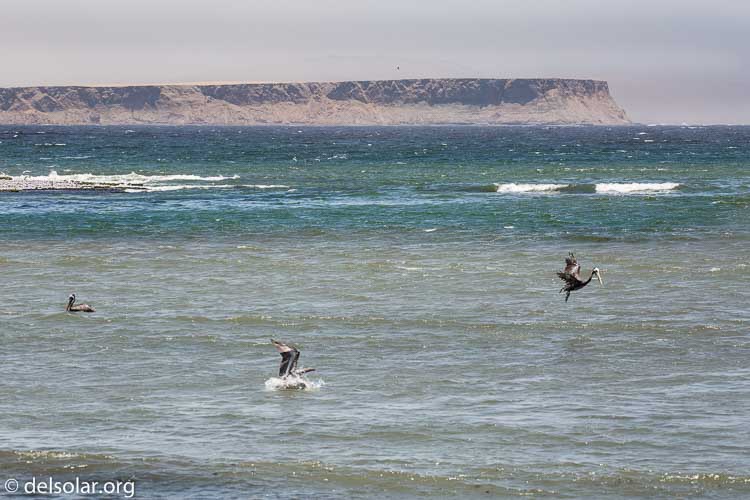 Canon EOS 5D Mark III  --  200 mm  --  EF100-400mm f/4.5-5.6L IS II USM  