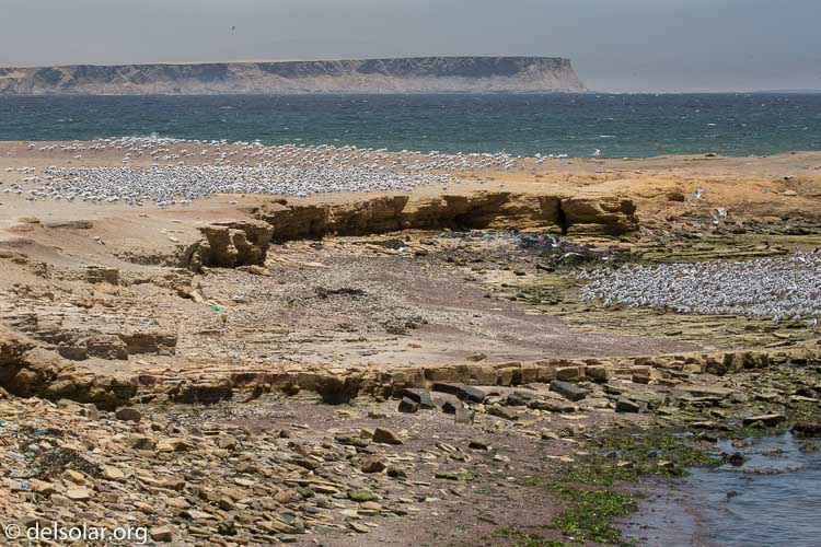 Canon EOS 5D Mark III  --  124 mm  --  EF100-400mm f/4.5-5.6L IS II USM  