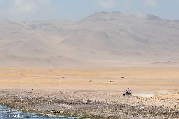 Canon EOS 5D Mark III  --  135 mm  --  EF100-400mm f/4.5-5.6L IS II USM  