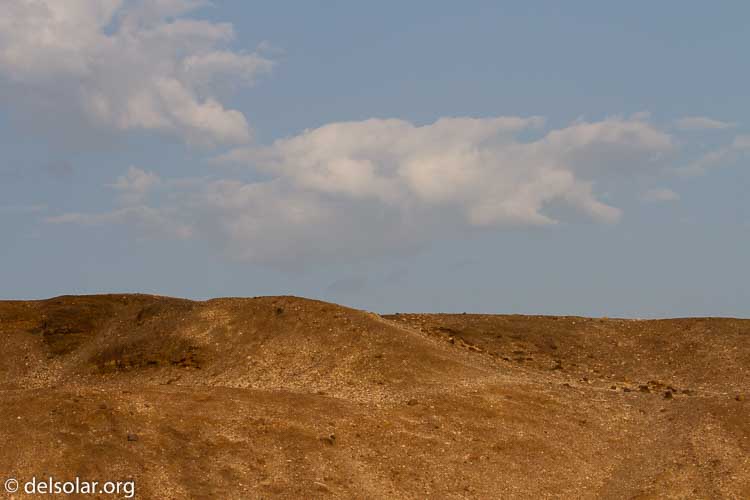 Canon EOS 7D  --  100 mm  --  EF100-400mm f/4.5-5.6L IS II USM  