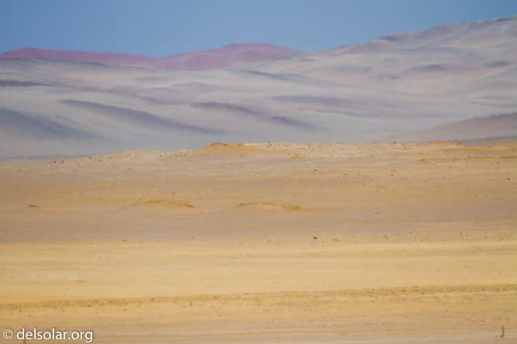 Canon EOS 7D  --  400 mm  --  EF100-400mm f/4.5-5.6L IS II USM  