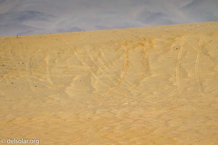 Canon EOS 7D  --  371 mm  --  EF100-400mm f/4.5-5.6L IS II USM  