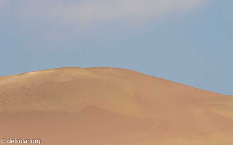 Canon EOS 7D  --  220 mm  --  EF100-400mm f/4.5-5.6L IS II USM  