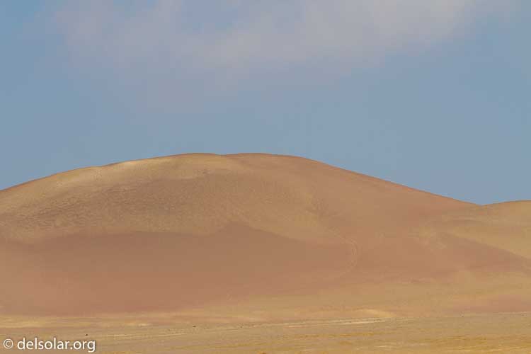 Canon EOS 7D  --  182 mm  --  EF100-400mm f/4.5-5.6L IS II USM  